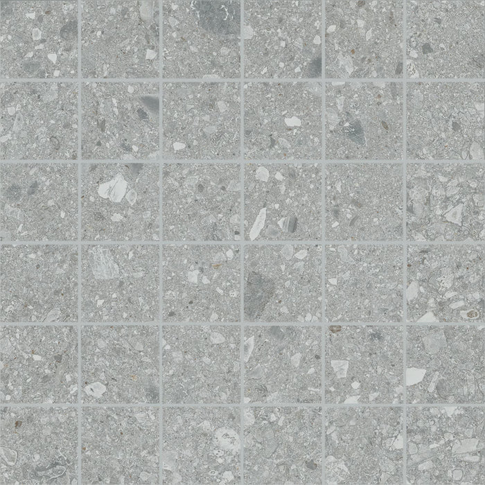 Assemble Porcelain Proxy AS10 Tile Matte 3 3