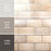 Camden Ceramic Decor Bone Tile Glossy 5