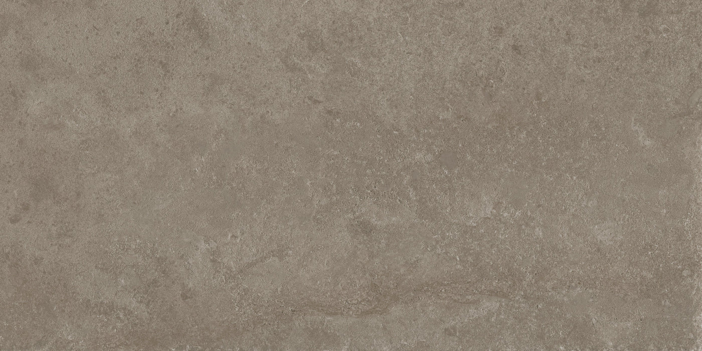 Passage Porcelain Rock Tile Matte 1