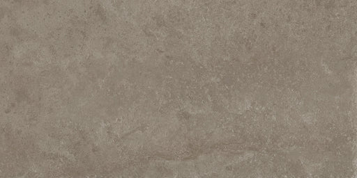 Passage Porcelain Rock Tile Matte 1