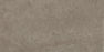 Passage Porcelain Rock Tile Matte 1