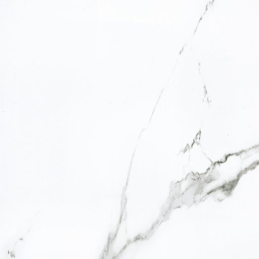 Calacatta Porcelain Calacatta Tile Polished 1