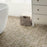 Llama Porcelain Noce Mosaic Matte 7