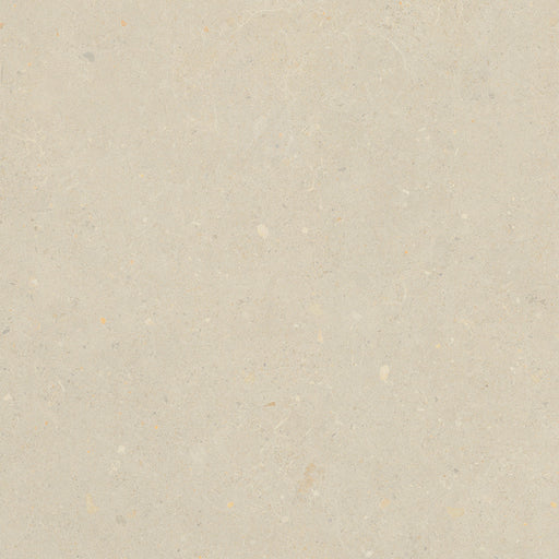 Breeze Porcelain Bloom Beige Tile Matte 1