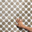 Llama Porcelain Star Noce with Calacatta Mosaic Matte 5