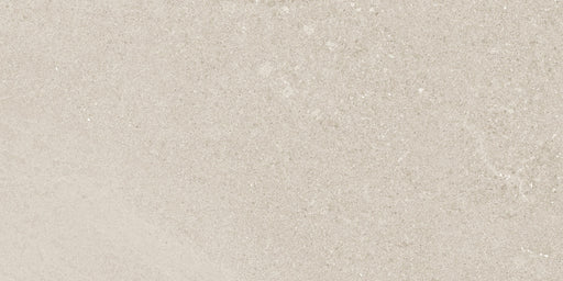 Boston Porcelain Ivory Paver Matte 1