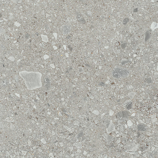 Assemble Porcelain Proxy AS10 Tile Matte 1