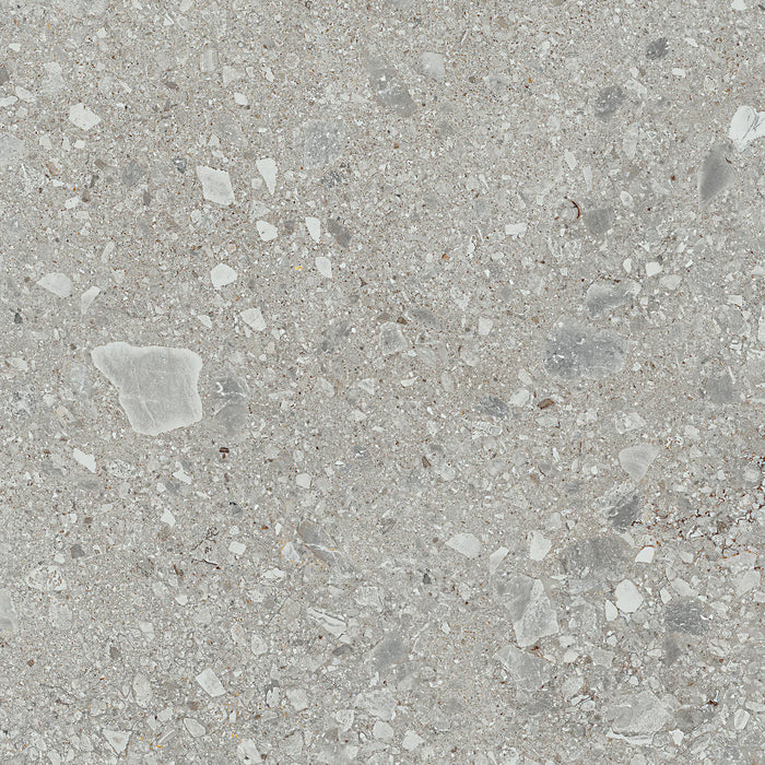 Assemble Porcelain Proxy AS10 Tile Matte 1