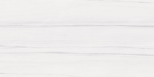 Bianco Dolomite Porcelain White Tile Matte 1
