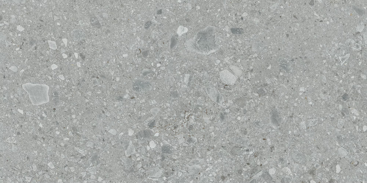 Assemble Porcelain Proxy AS10 Tile Matte 2