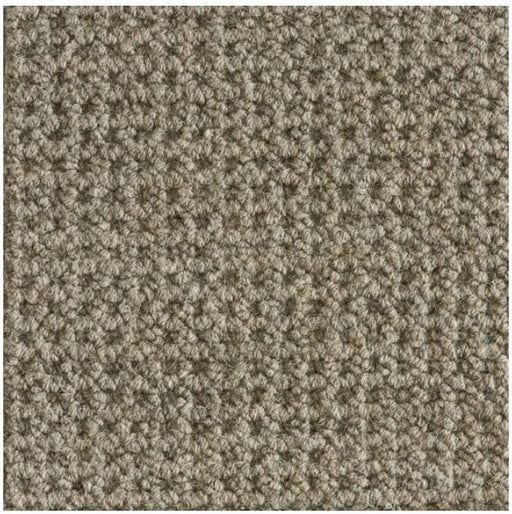 Colony Wool Flannel 73295 Carpet CLONY Textured 1