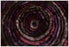 Polyester 51106 Area Rug Textured 2