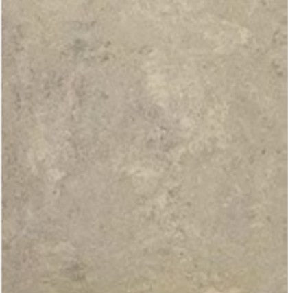 National Account Porcelain Ford Silver F926 Tile Polished 1