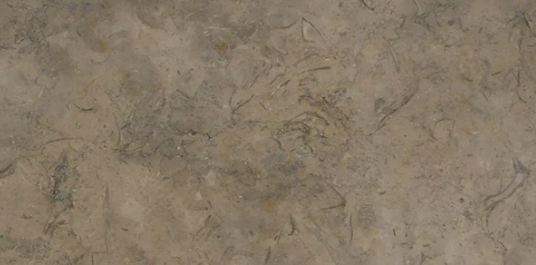 Full Tile Sample - Fossil Brown Limestone Tile - 3" x 12" x 3/8" Polished