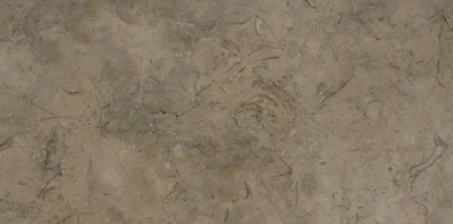 Fossil Brown Polished Limestone Tile - 3" x 12" x 3/8"
