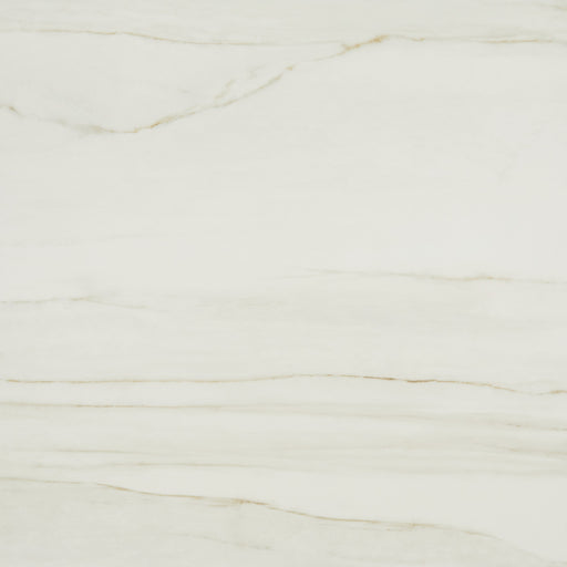 Fossile Porcelain FS20 Tile Matte 1