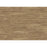 Coventry Vinyl Prairie Vinyl Plank Low Gloss 1