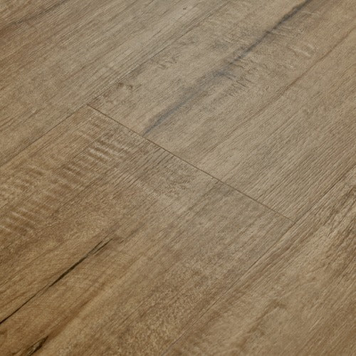 Coventry Vinyl Prairie Vinyl Plank Low Gloss 4
