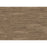 Coventry Vinyl Forest Vinyl Plank Low Gloss 1