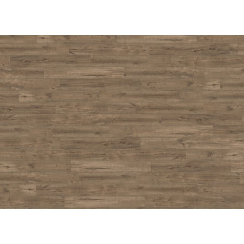 Coventry Vinyl Forest Vinyl Plank Low Gloss 1