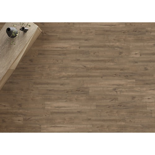 Coventry Vinyl Forest Vinyl Plank Low Gloss 2