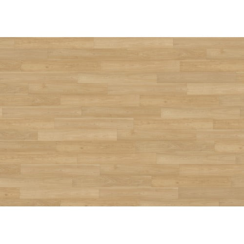 Timber Vinyl Sap Vinyl Plank Low Gloss 1