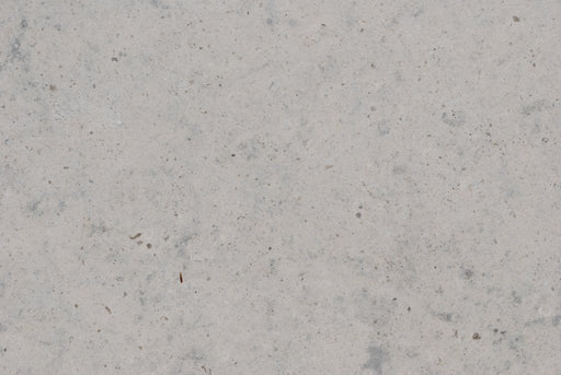 Full Tile Sample - Gascoigne Blue Limestone Tile - 16" x 16" x 3/8" Honed