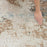 Glitz Taupe Multi TAUMT Polyester GLZ06