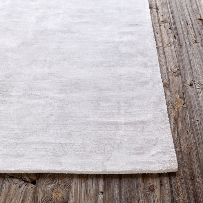 Viscose 18605 Area Rug Textured 1