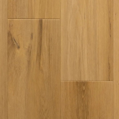 ProTek Plus Globe PP3009V