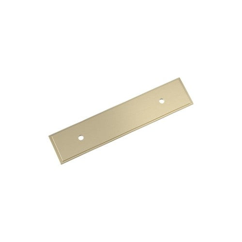Maymont Zinc Golden Champagne Cabinet Backplate 4