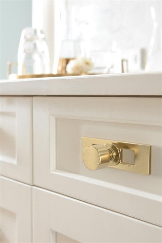 Medora Zinc Golden Champagne Cabinet Backplate 4