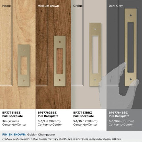 Medora Zinc Golden Champagne Cabinet Backplate 48