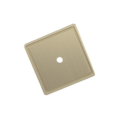 Thoreau Zinc Golden Champagne Cabinet Backplate 1