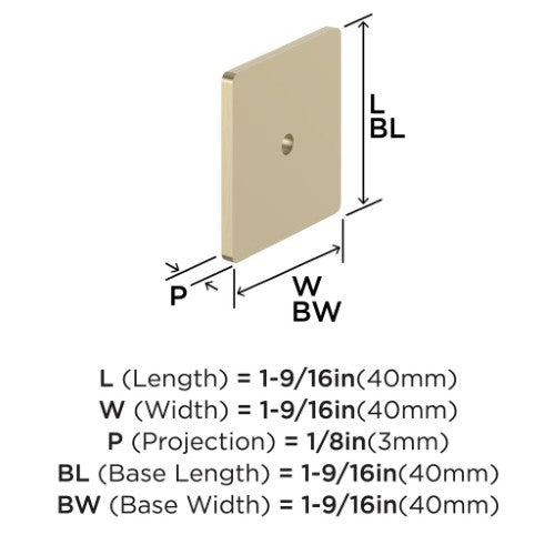Thoreau Zinc Golden Champagne Cabinet Backplate 2