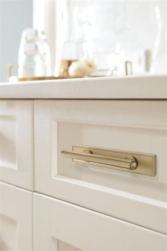 Thoreau Zinc Golden Champagne Cabinet Backplate 18