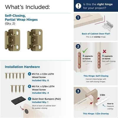 Decorative Hinges Steel Burnished Brass Cabinet Hinge 6