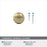 Edona Zinc Golden Champagne Cabinet Knob 3