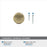 Factor Zinc Golden Champagne Cabinet Knob 3