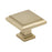 Appoint Zinc Golden Champagne Cabinet Knob 1