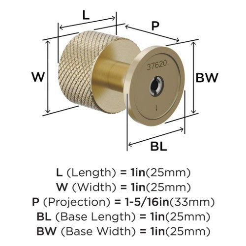 Balata Zinc Golden Champagne Cabinet Knob 5