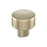 Bronx Zinc Golden Champagne Cabinet Knob 1