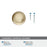 Cowrie Zinc Golden Champagne Cabinet Knob 3