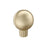 Cowrie Zinc Golden Champagne Cabinet Knob 1
