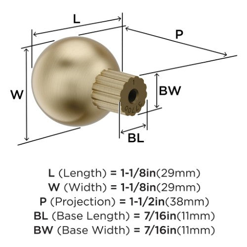 Cowrie Zinc Golden Champagne Cabinet Knob 2