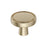 Destine Zinc Golden Champagne Cabinet Knob 1