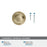 Enlivity Zinc Golden Champagne Cabinet Knob 3