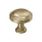 Enlivity Zinc Golden Champagne Cabinet Knob 1