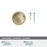 Faraday Zinc Golden Champagne Cabinet Knob 5