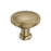 Faraday Zinc Golden Champagne Cabinet Knob 1
